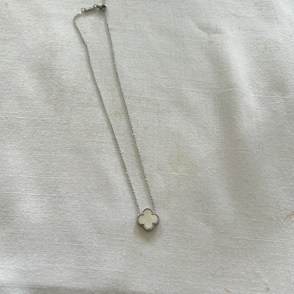 Gorgeous necklace oyster with silver